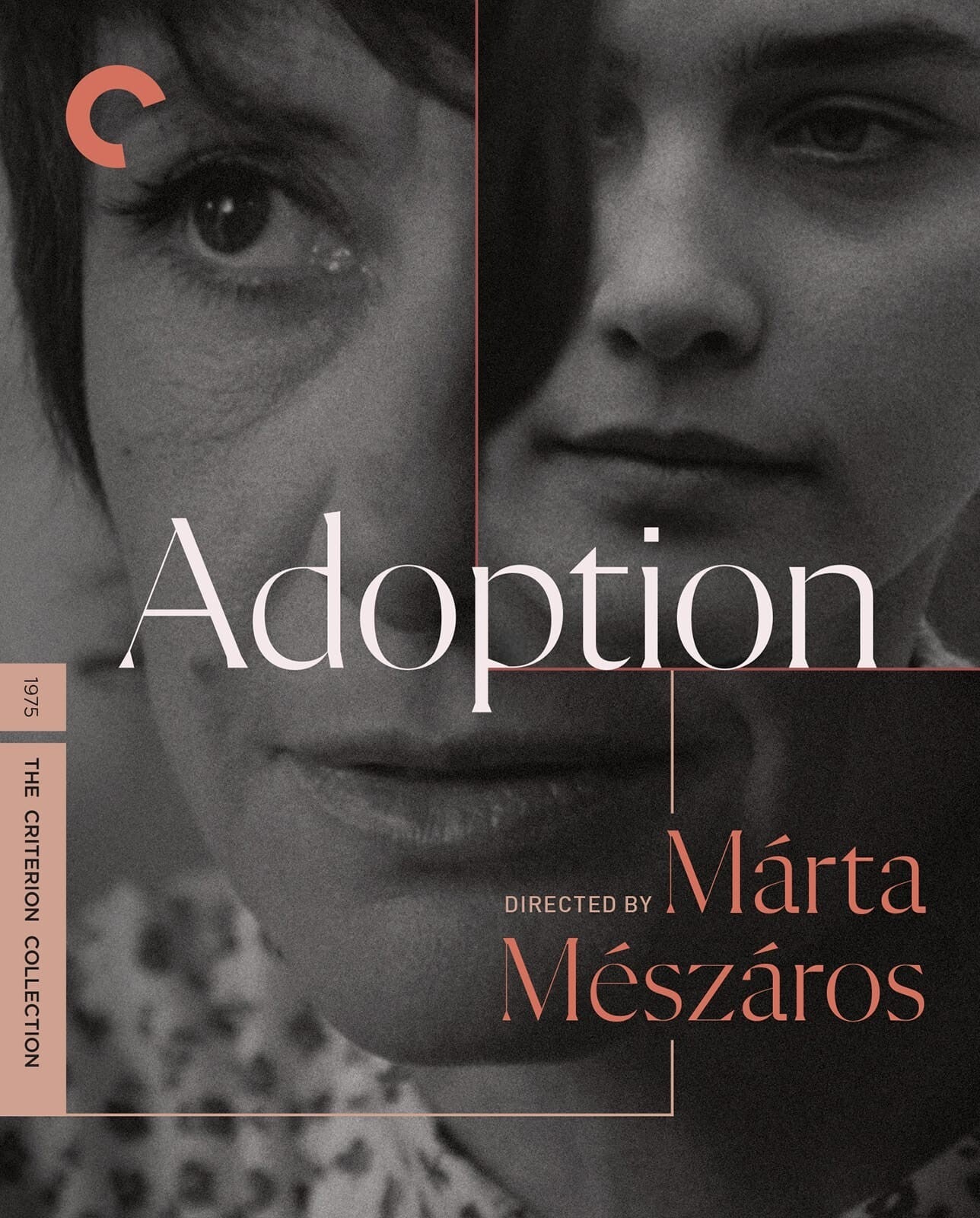 ADOPTION (1975)