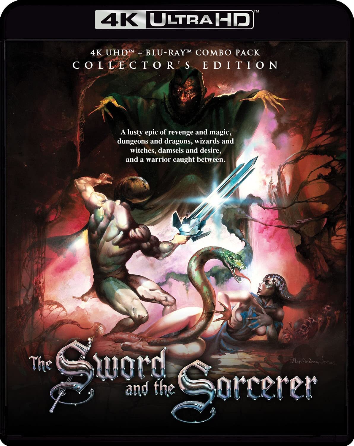 SWORD AND THE SORCERER, THE