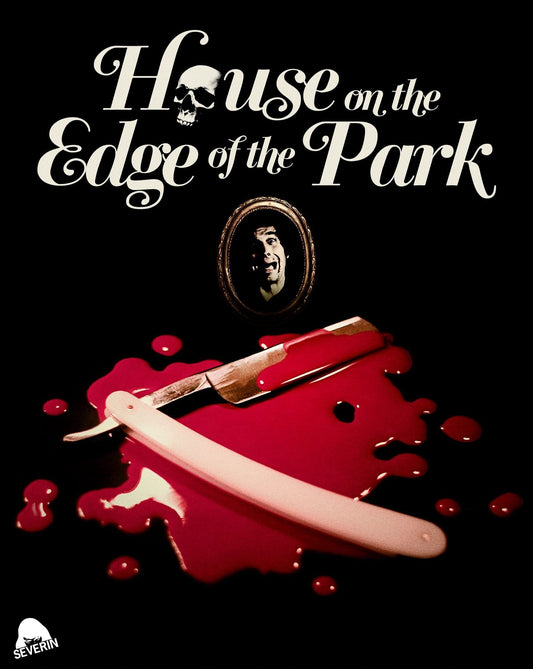 HOUSE ON THE EDGE OF THE PARK