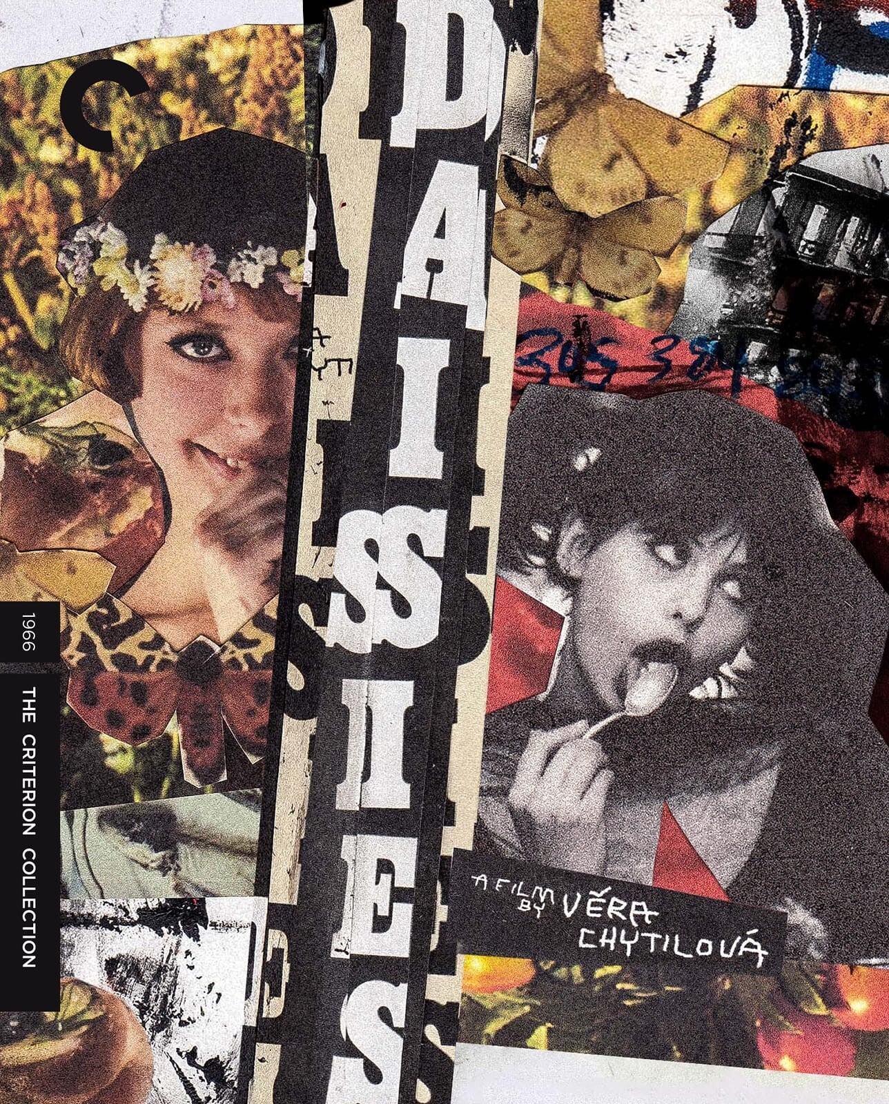 DAISIES (1966 CRITERION)