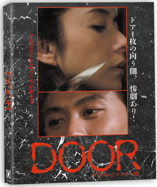DOOR (1988)