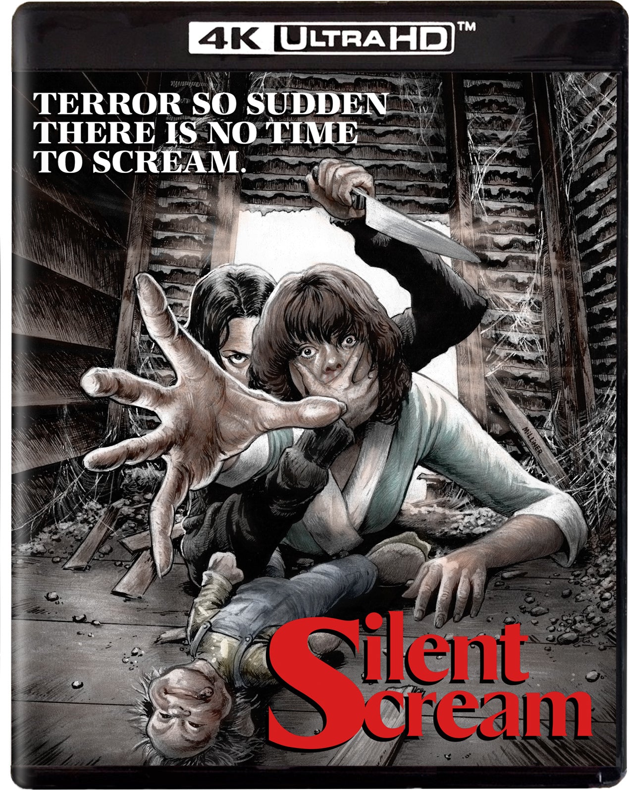 SILENT SCREAM (1979)