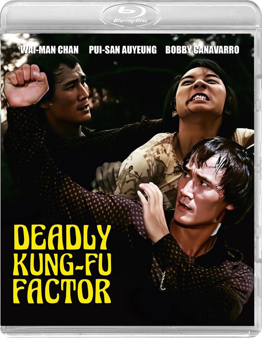 DEADLY KUNG-FU FACTOR (1978)