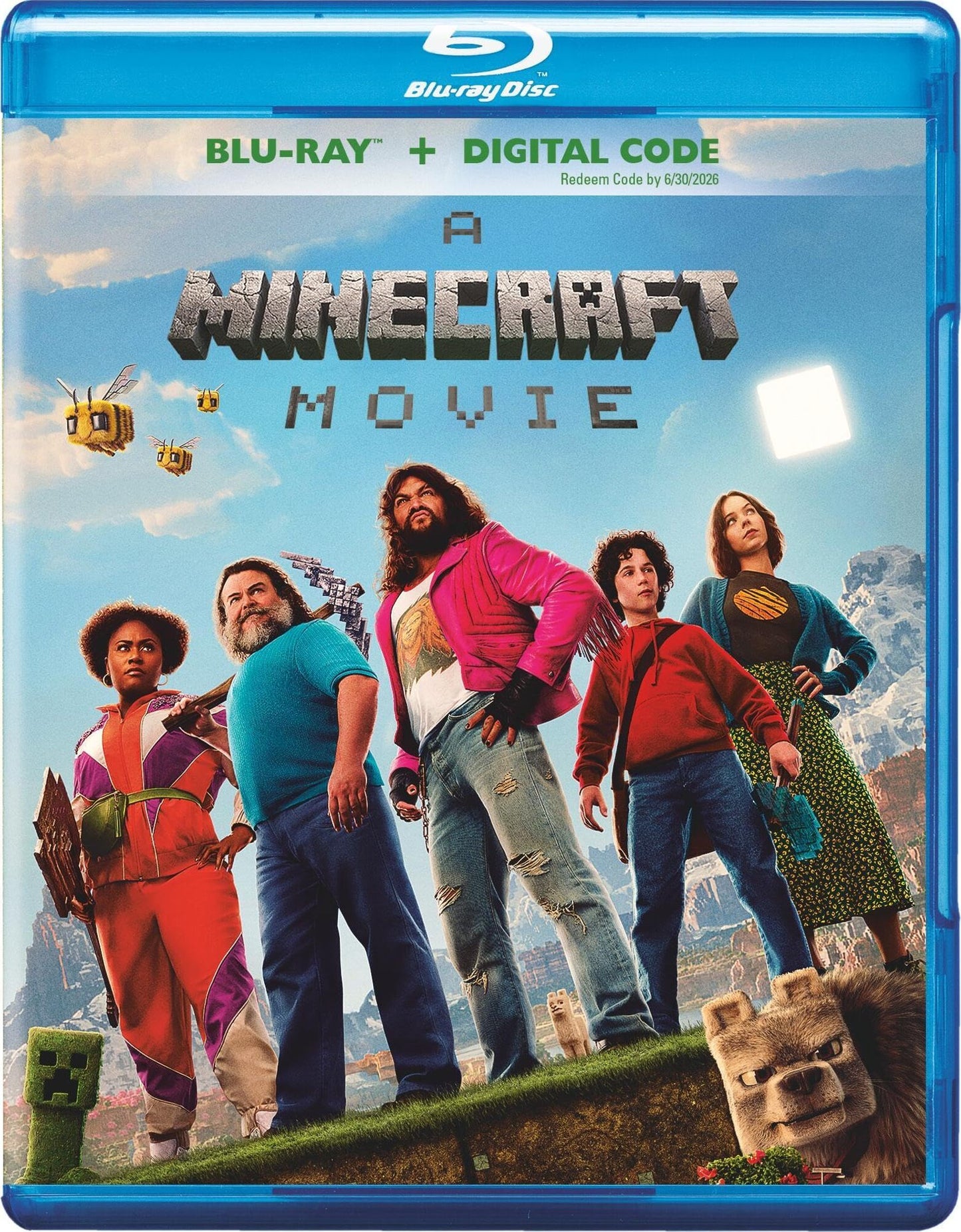 MINECRAFT MOVIE, A (2025)