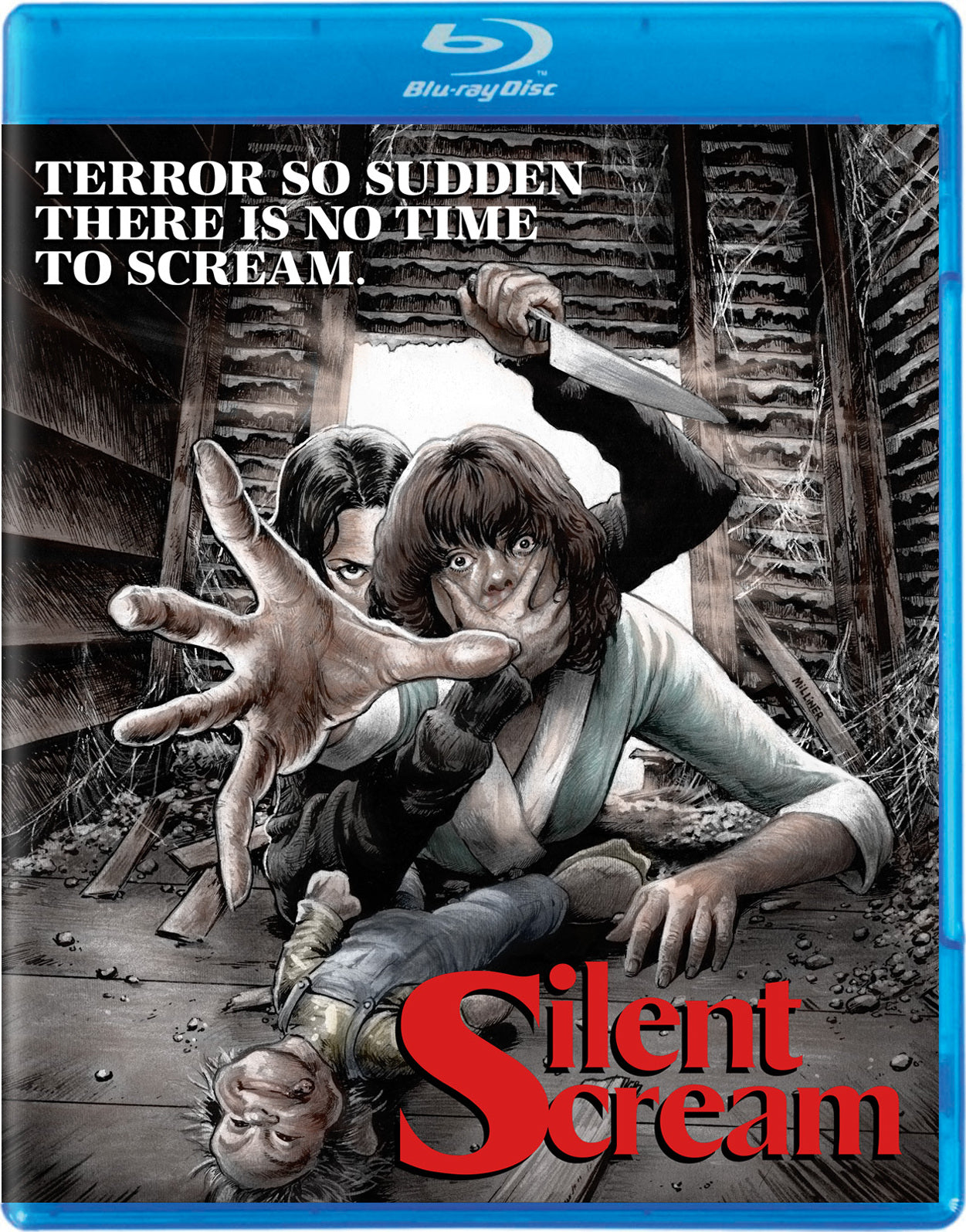SILENT SCREAM (1979)