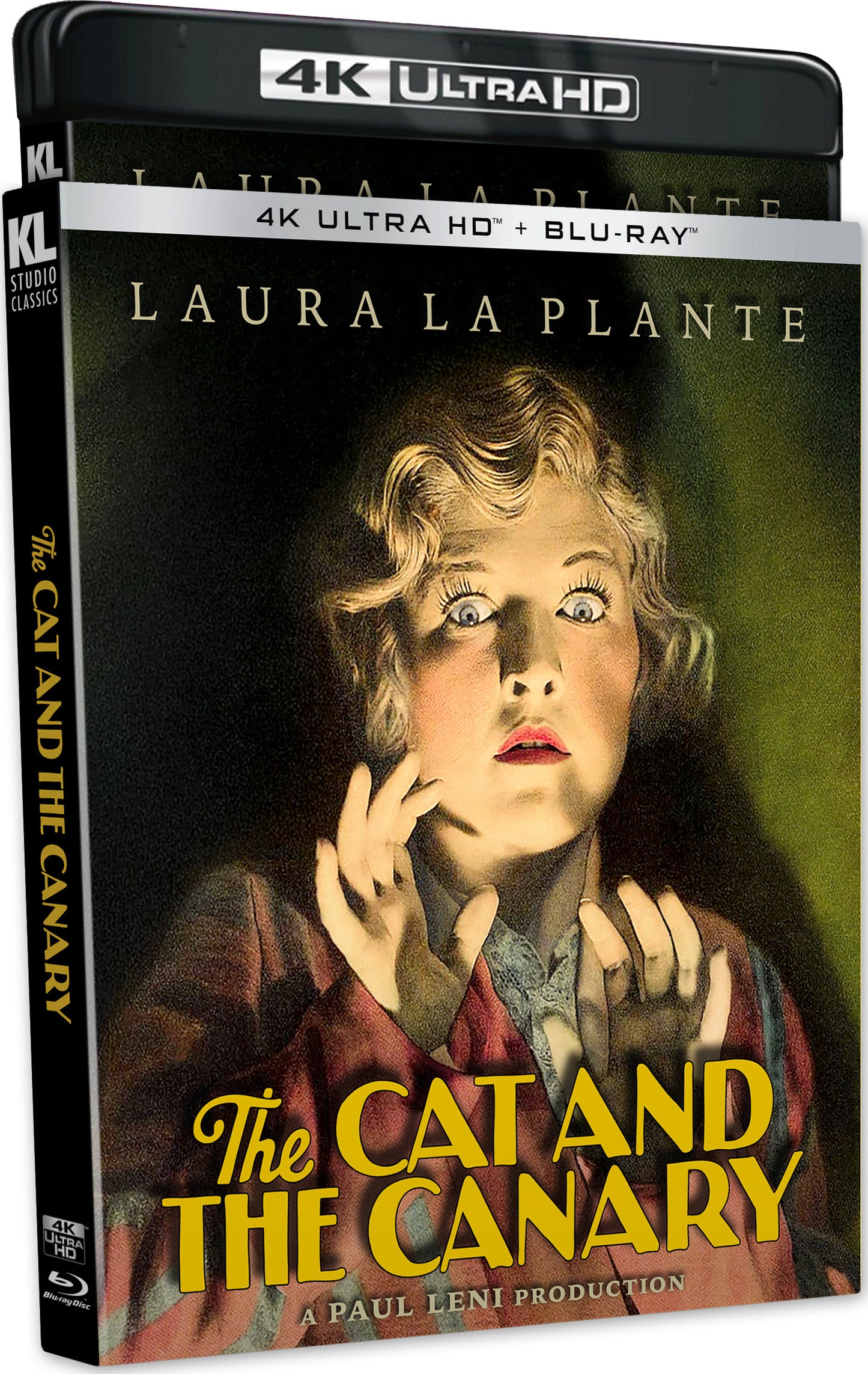 CAT AND THE CANARY, THE (1927)