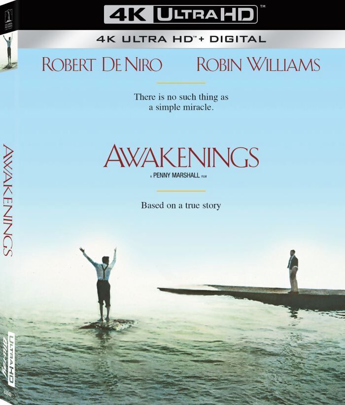AWAKENINGS (1990)