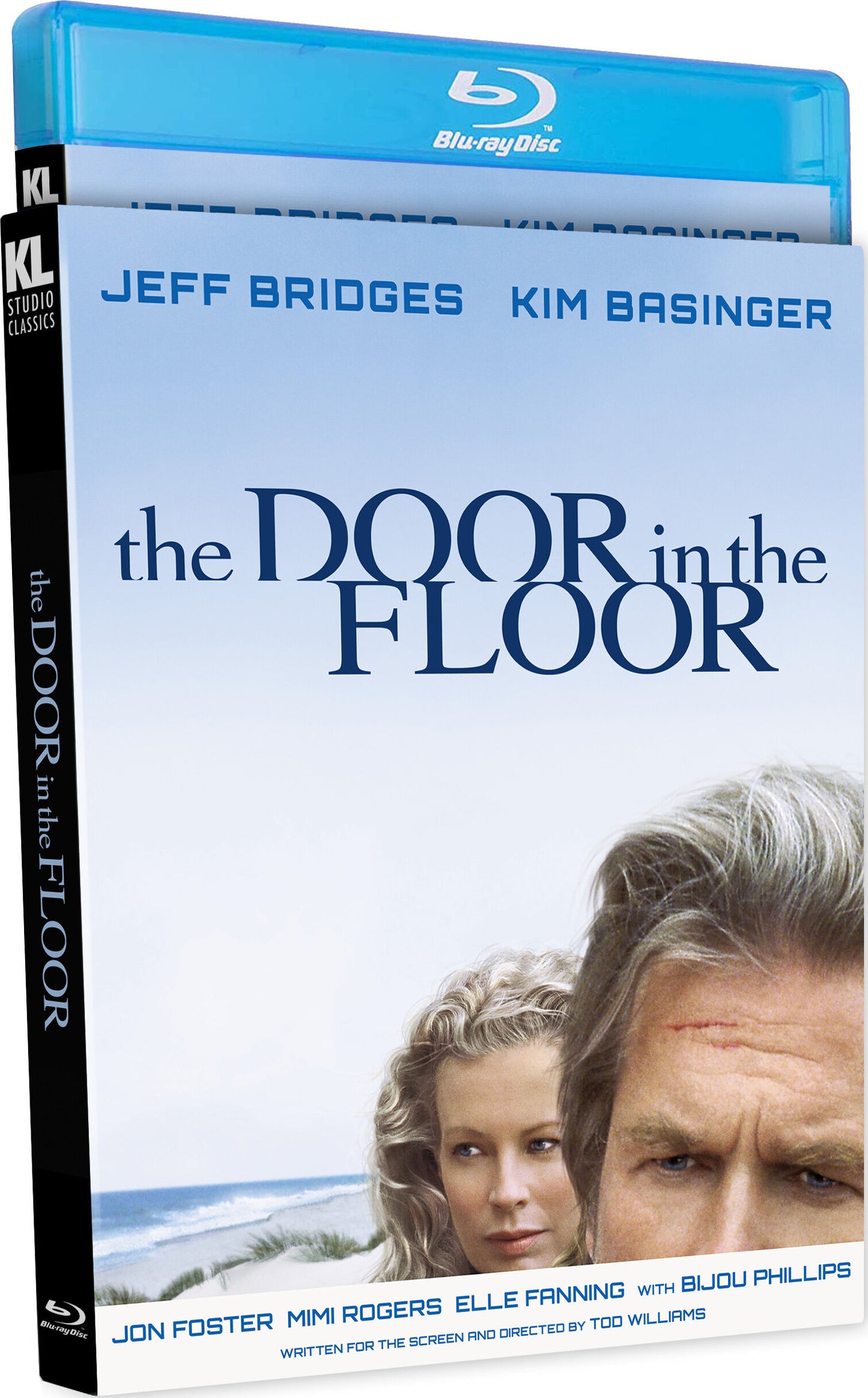DOOR IN THE FLOOR, THE