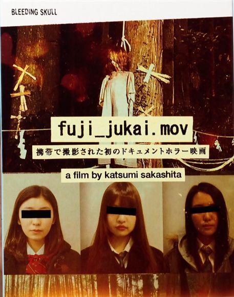 FUJI_JUKAI.MOV (2016)