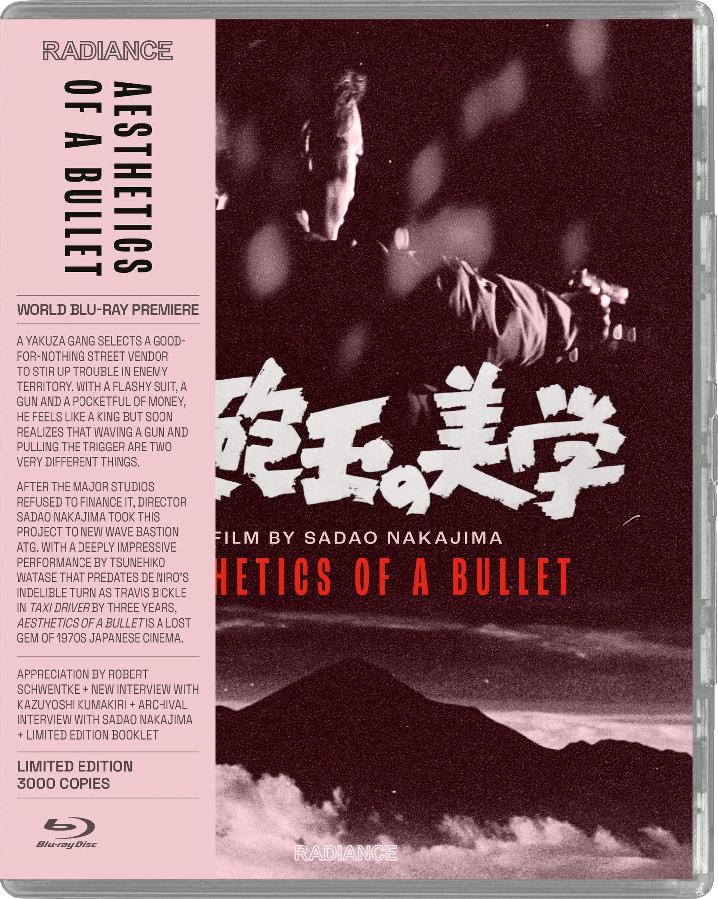 AESTHETICS OF A BULLET (1973)