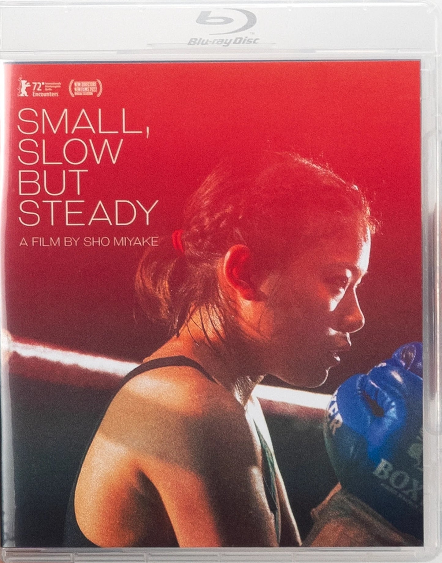 SMALL, SLOW BUT STEADY (2022)