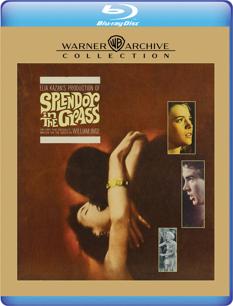 SPLENDOR IN THE GRASS (1961)