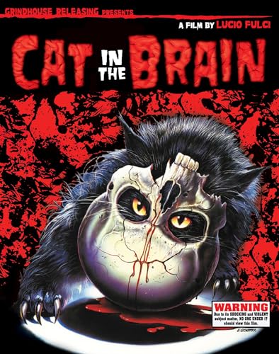 CAT IN THE BRAIN