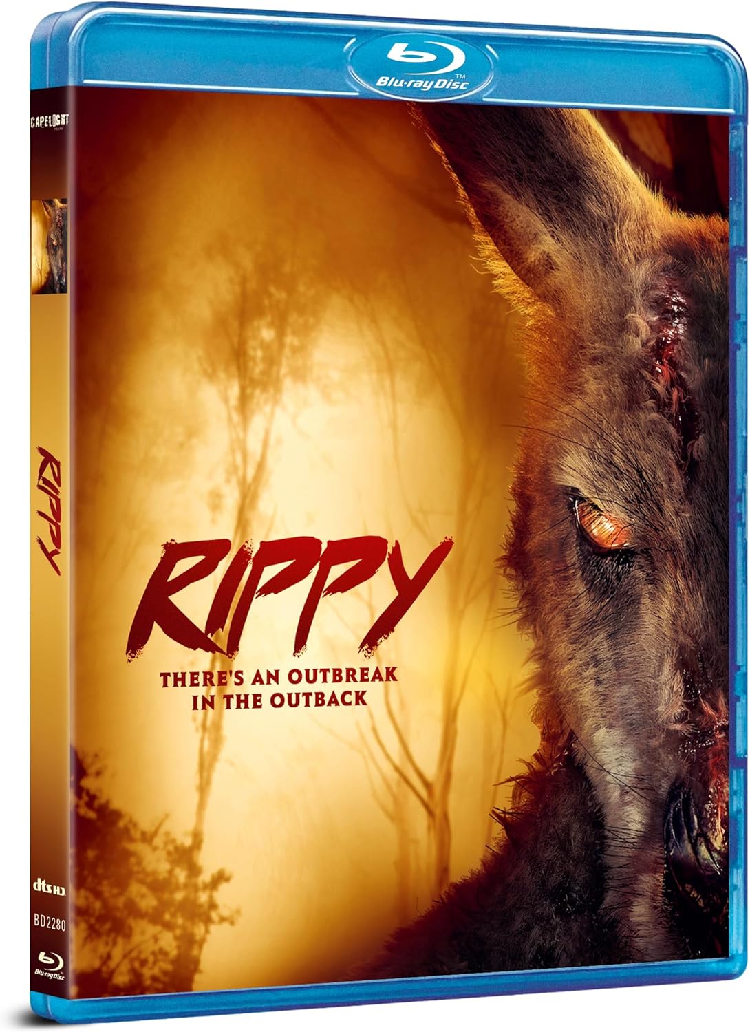 RIPPY (2024)