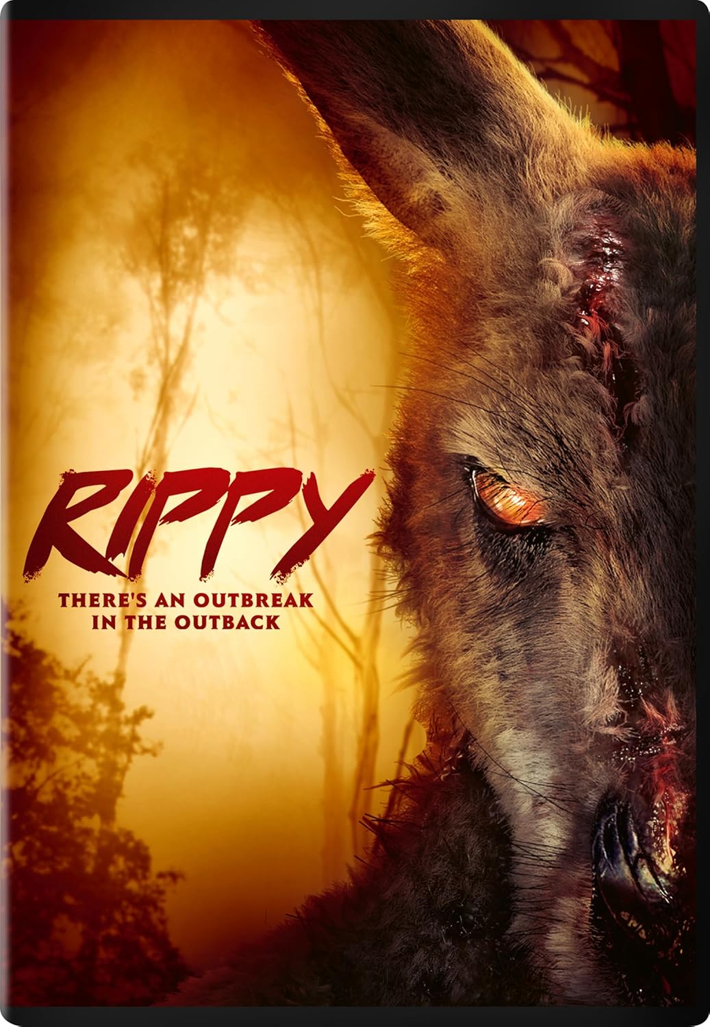 RIPPY (2024)