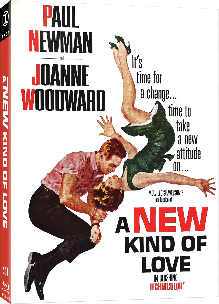 NEW KIND OF LOVE, A (1963)