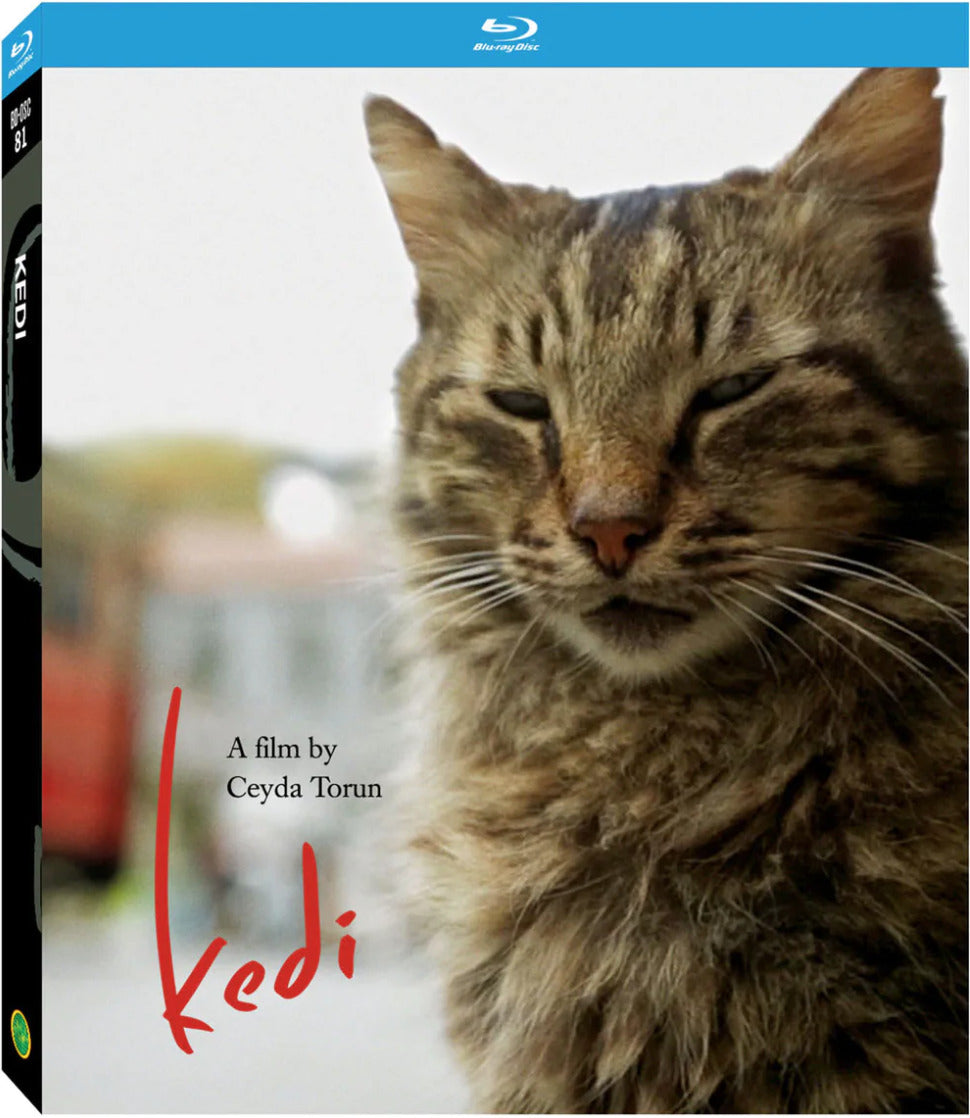 KEDI (2016)