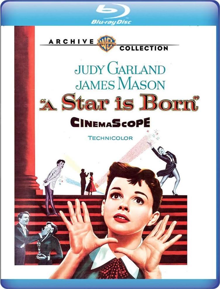 STAR IS BORN, A (1954)
