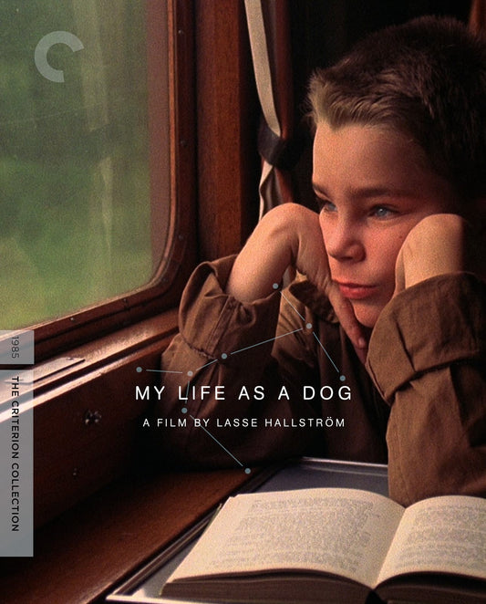 MY LIFE AS A DOG (CRITERION)