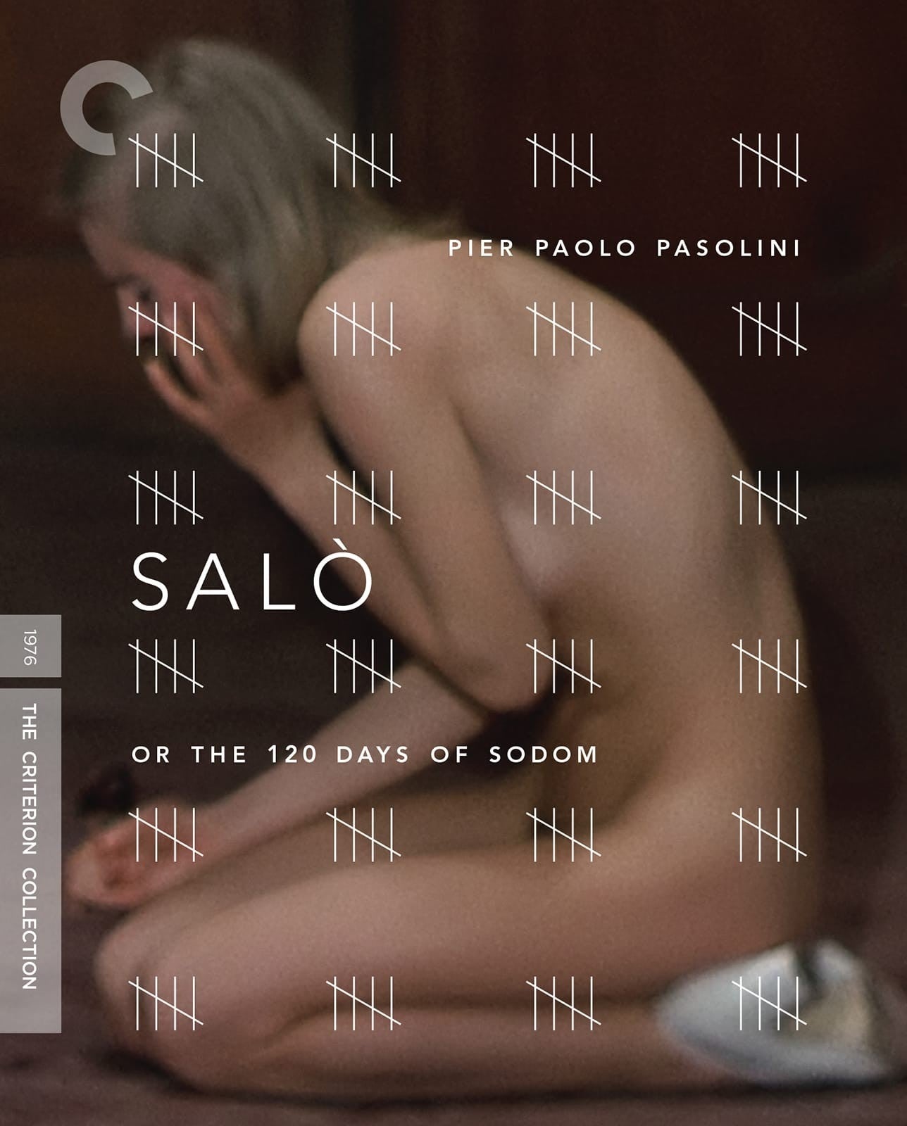 SALO (CRITERION)