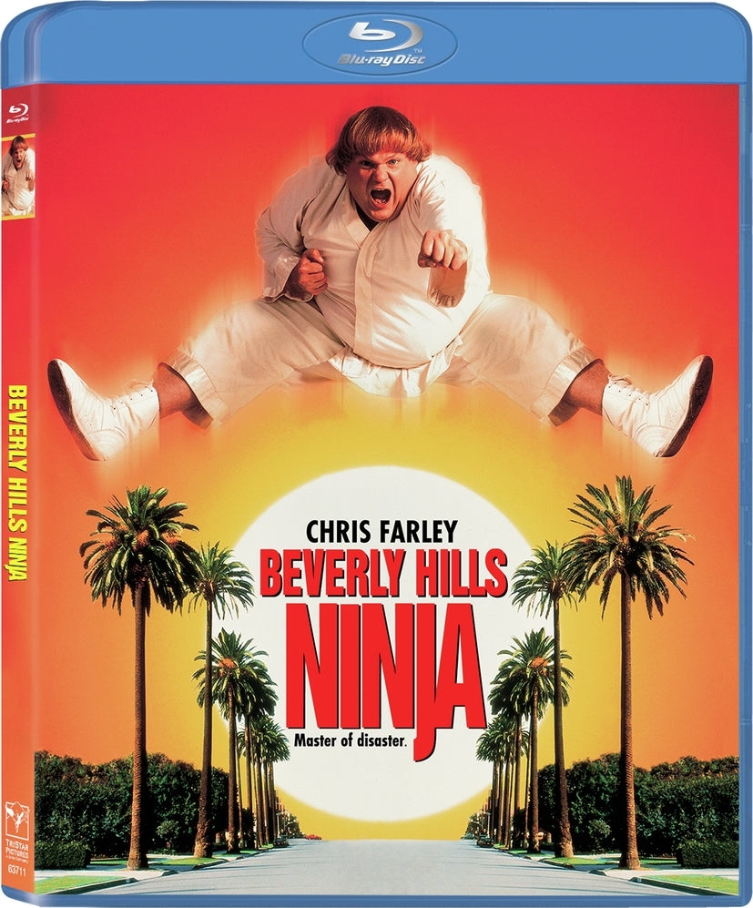 BEVERLY HILLS NINJA (1997)