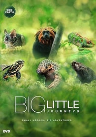 BIG LITTLE JOURNEYS (2023)