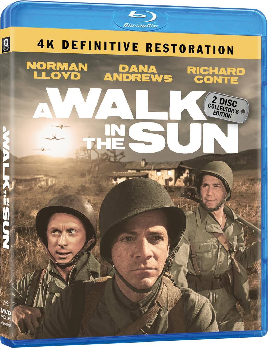 WALK IN THE SUN, A (1945)