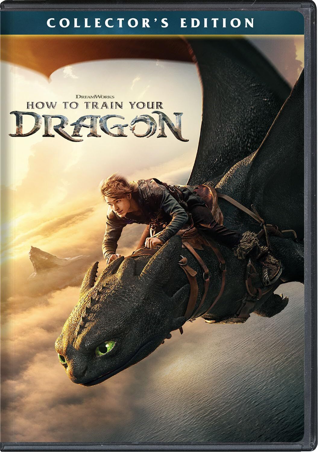 HOW TO TRAIN YOUR DRAGON (2025)