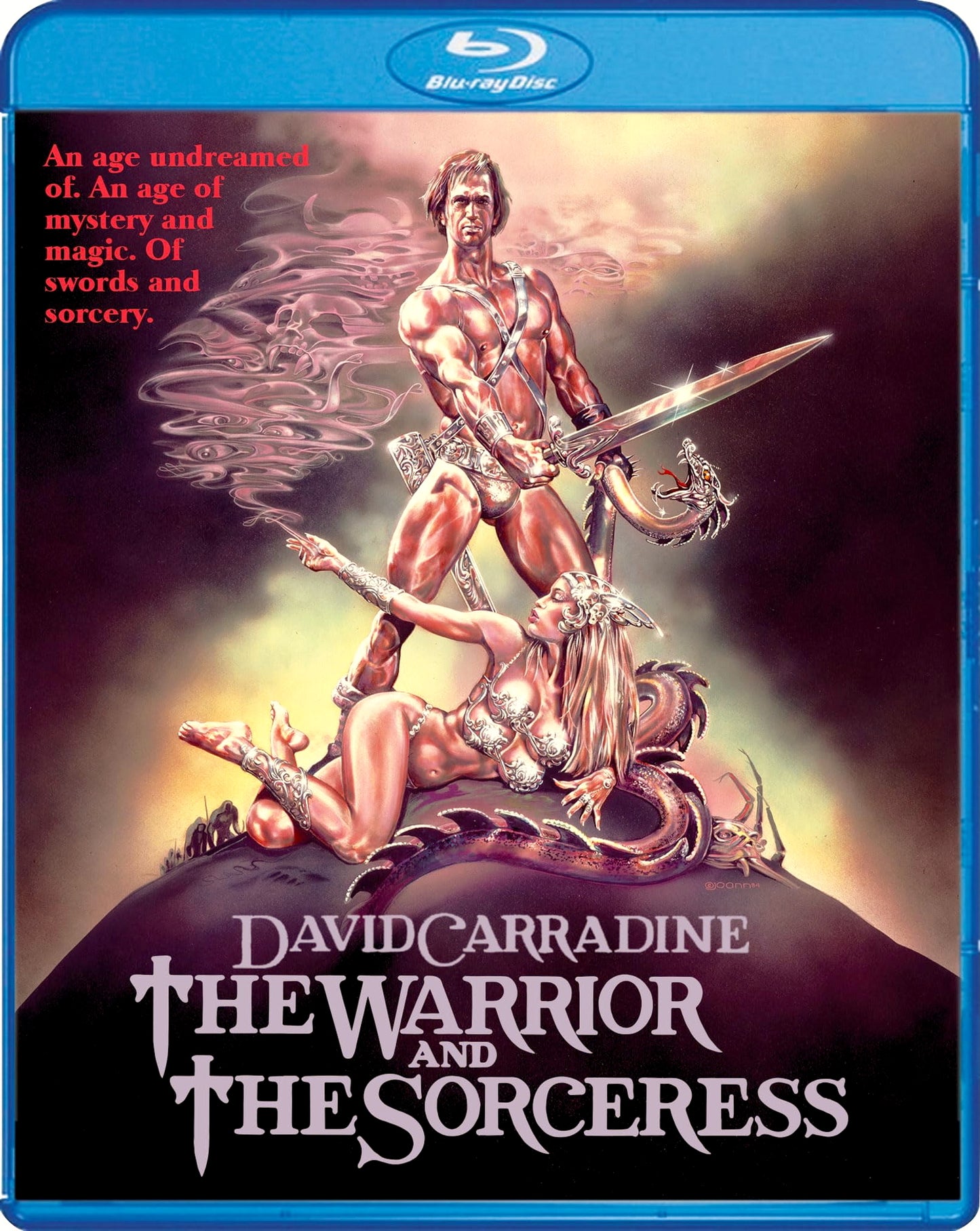 WARRIOR AND THE SORCERESS, THE