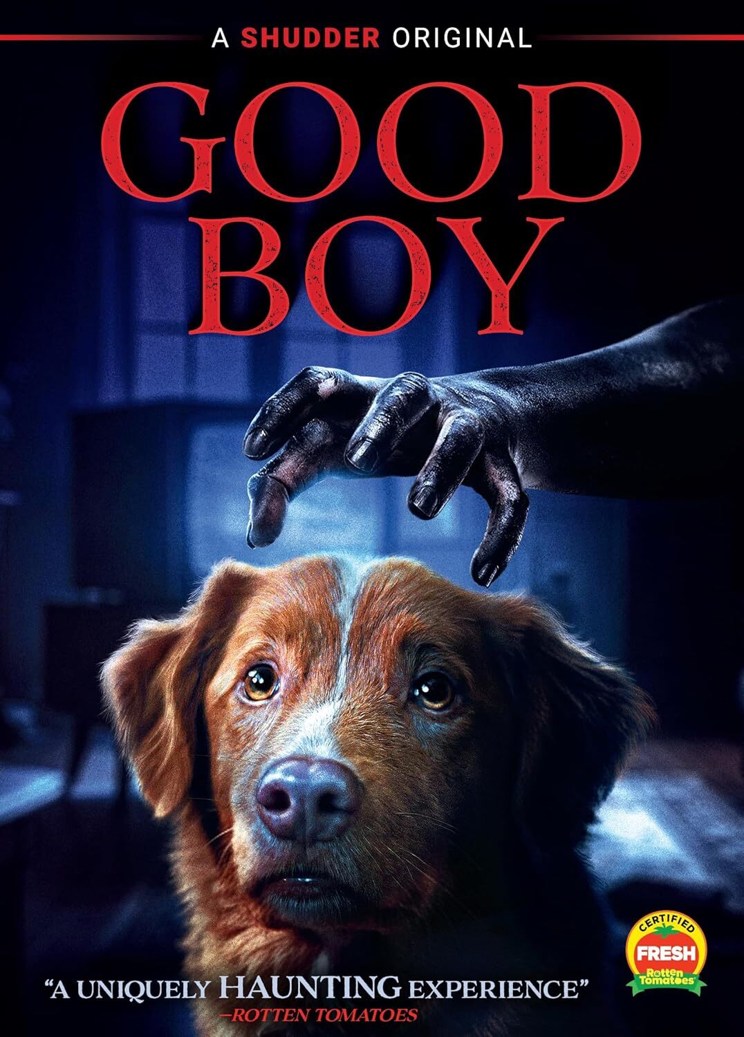GOOD BOY (2025)