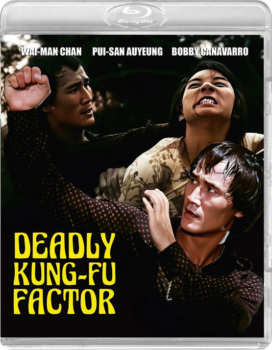 DEADLY KUNG-FU FACTOR (1978)