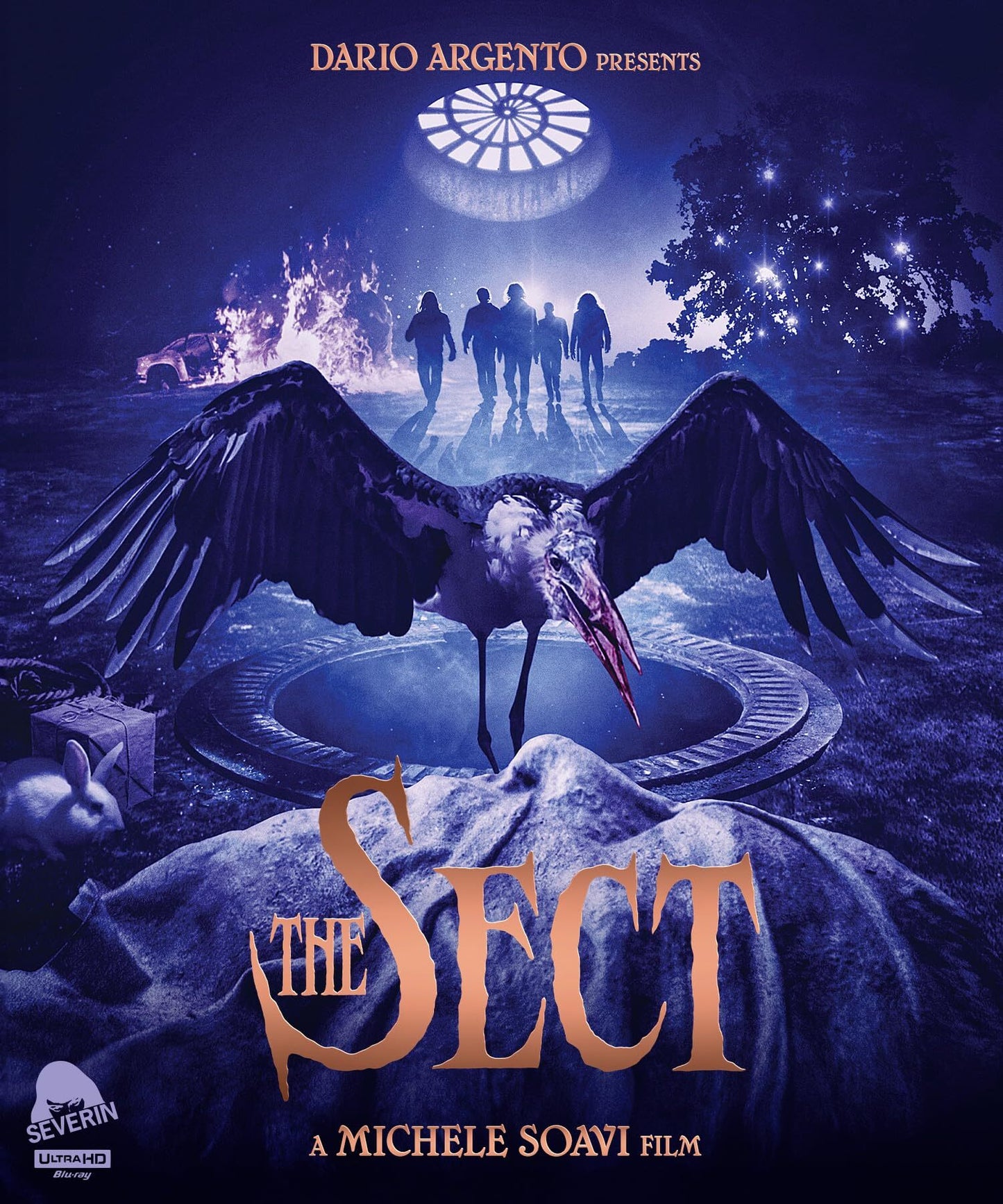 SECT, THE (1991 STANDARD EDITION)