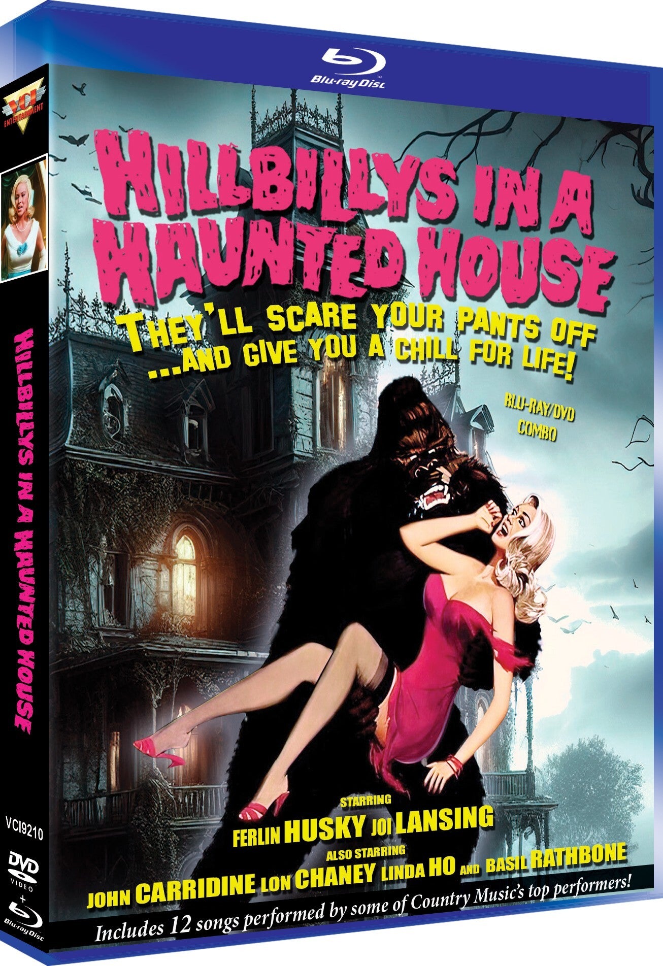 HILLBILLYS IN A HAUNTED HOUSE (1969)