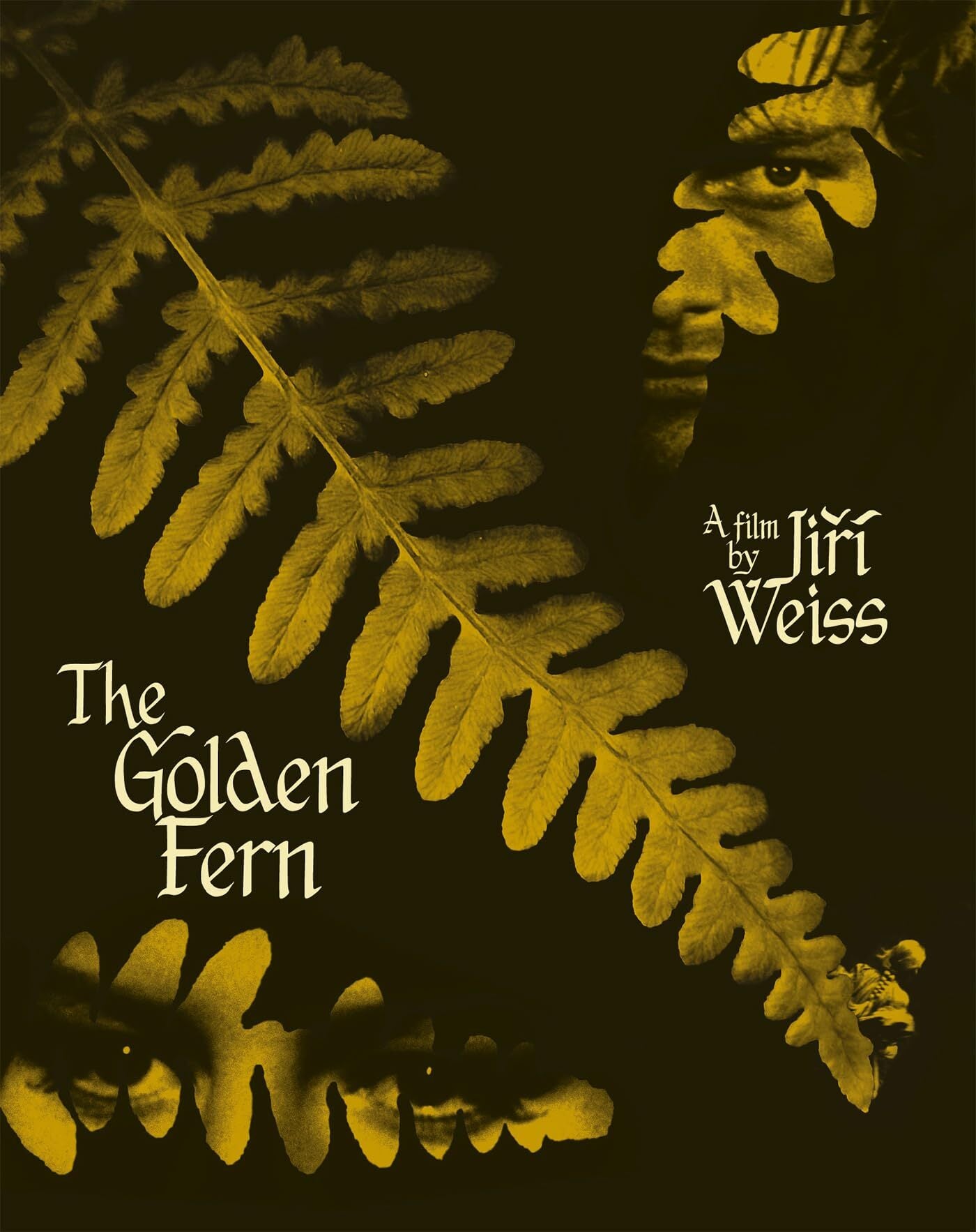 GOLDEN FERN, THE (1963)