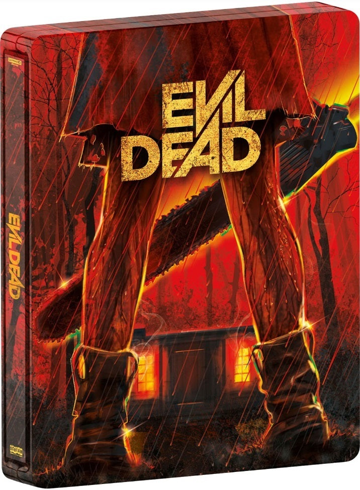 EVIL DEAD (2013)