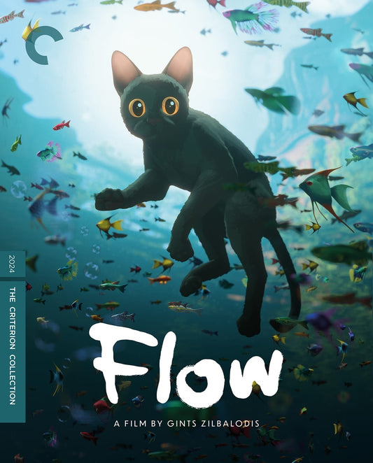FLOW (2024)