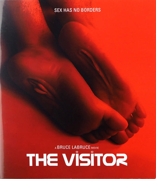 VISITOR, THE (2024)