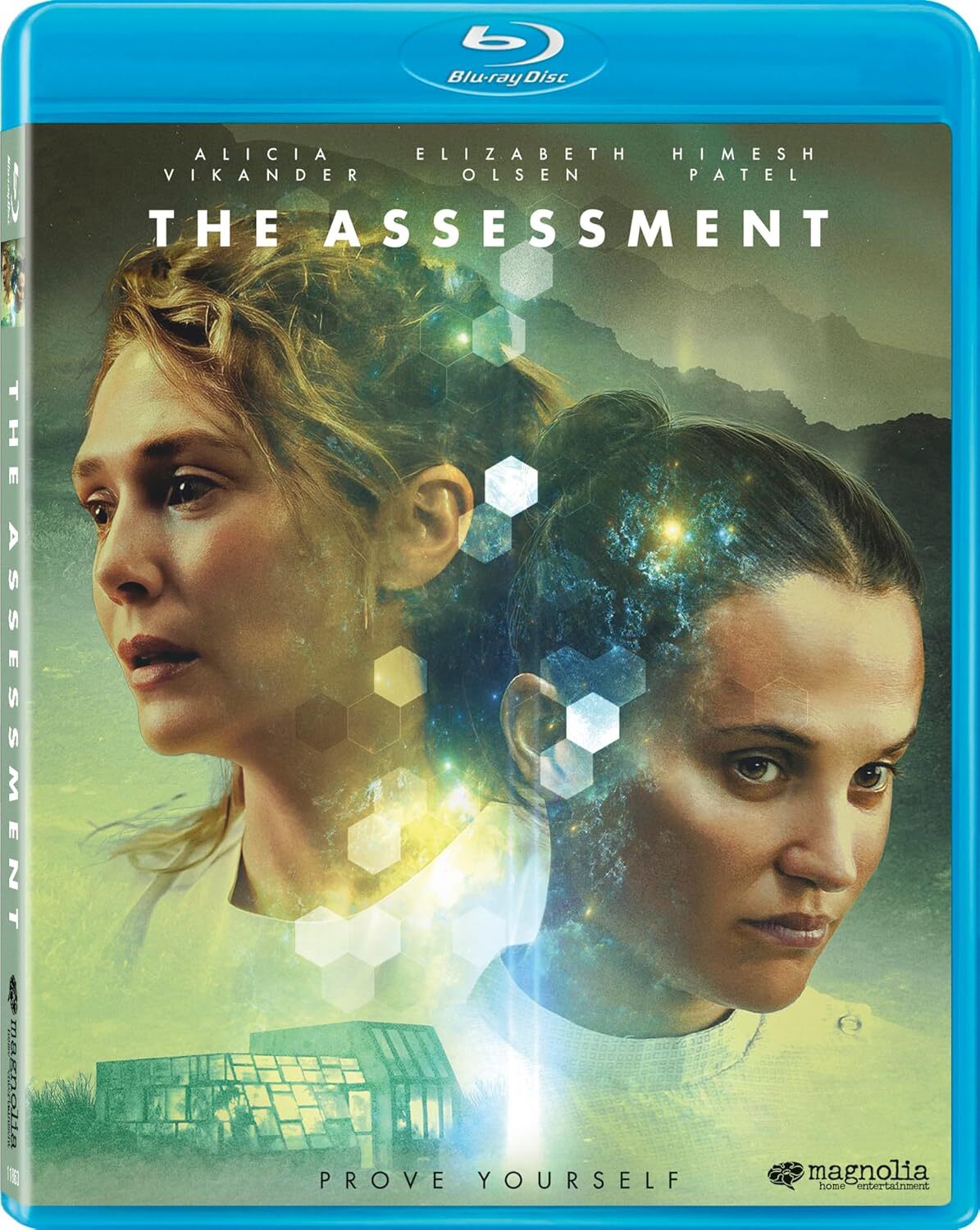 ASSESSMENT, THE (2024)