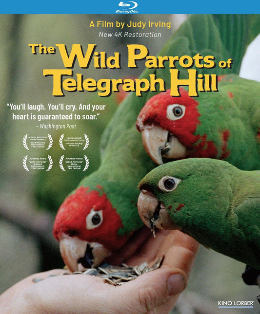 WILD PARROTS OF TELEGRAPH HILL