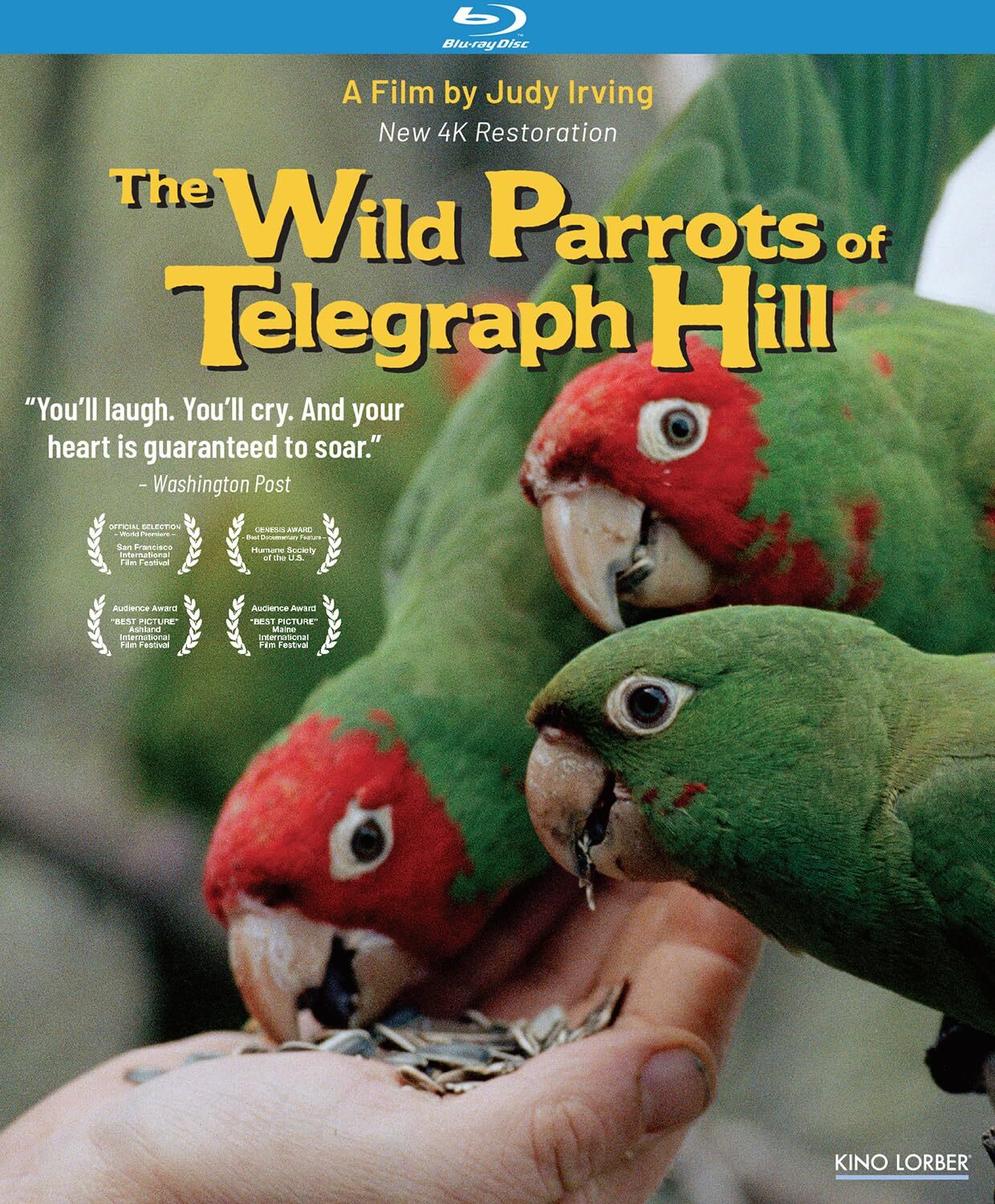 WILD PARROTS OF TELEGRAPH HILL