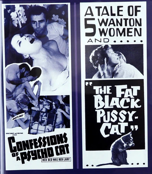 CONFESSIONS OF A PSYCHO CAT (1968) / THE FAT BLACK PUSSYCAT (1963)