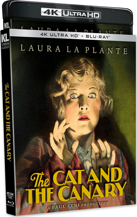 CAT AND THE CANARY, THE (1927)