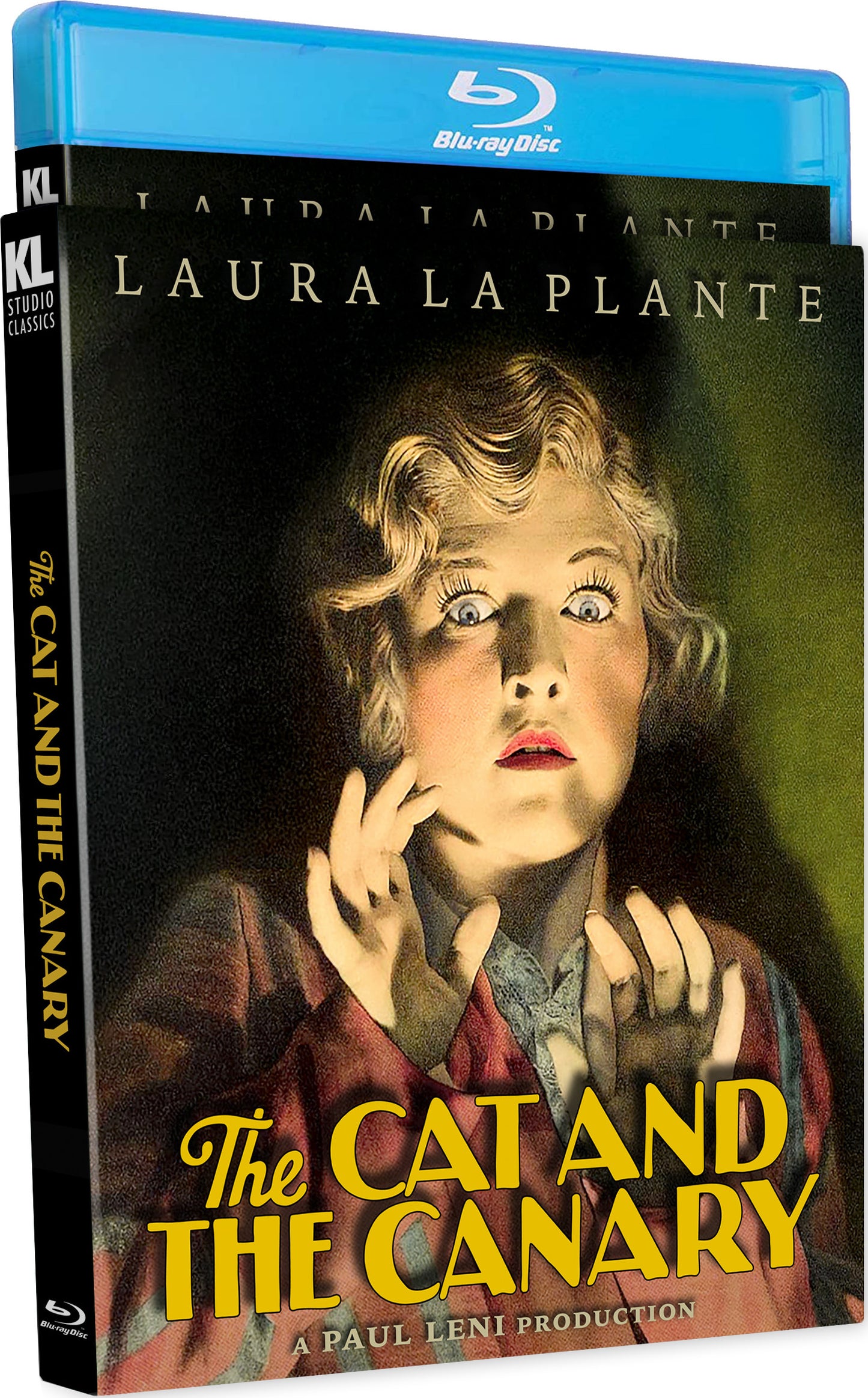 CAT AND THE CANARY, THE (1927)