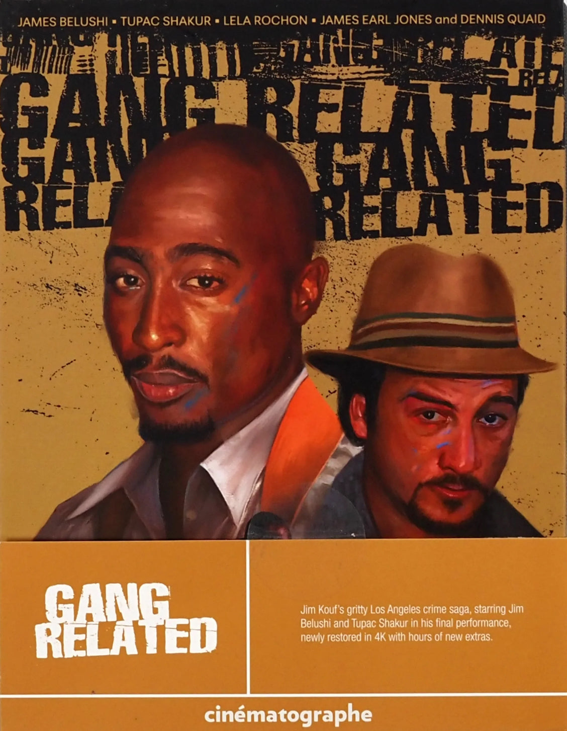 GANG RELATED
