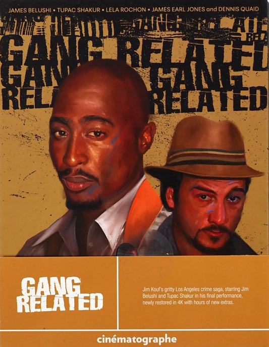 GANG RELATED