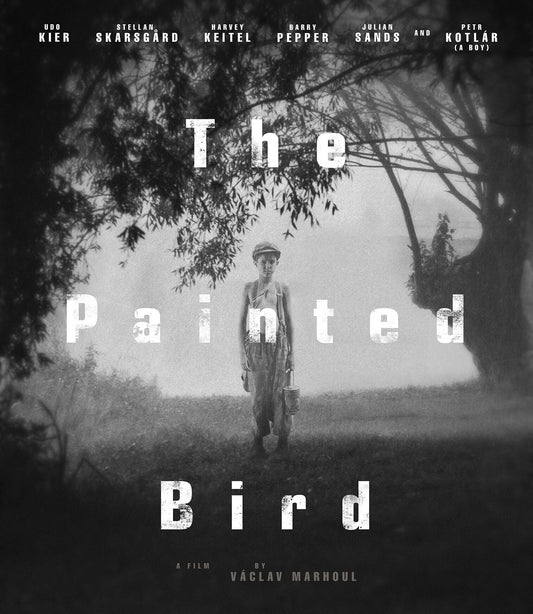 PAINTED BIRD, THE (2019)