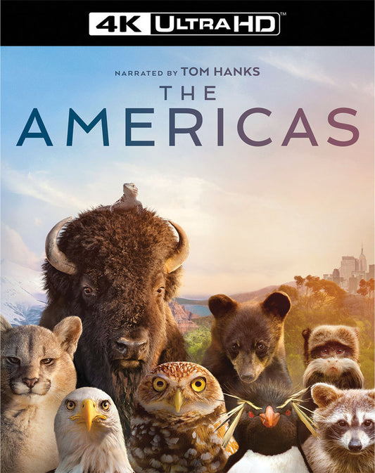 AMERICAS, THE: COMPLETE SERIES
