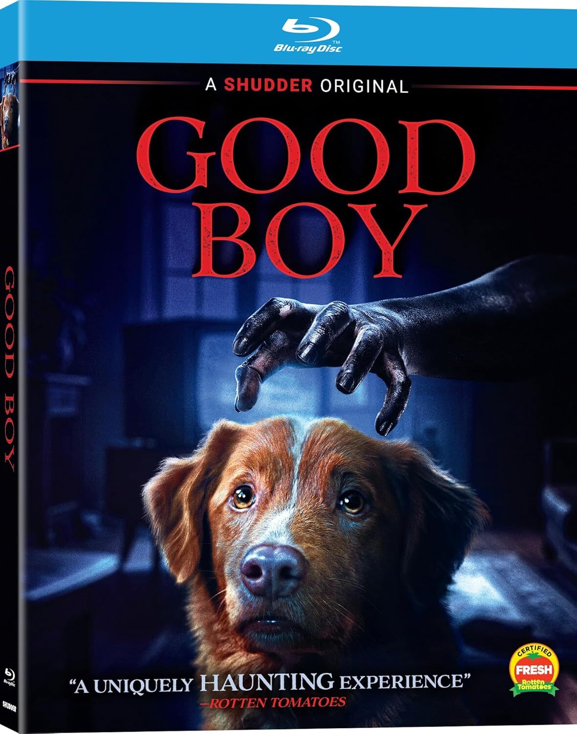 GOOD BOY (2025)