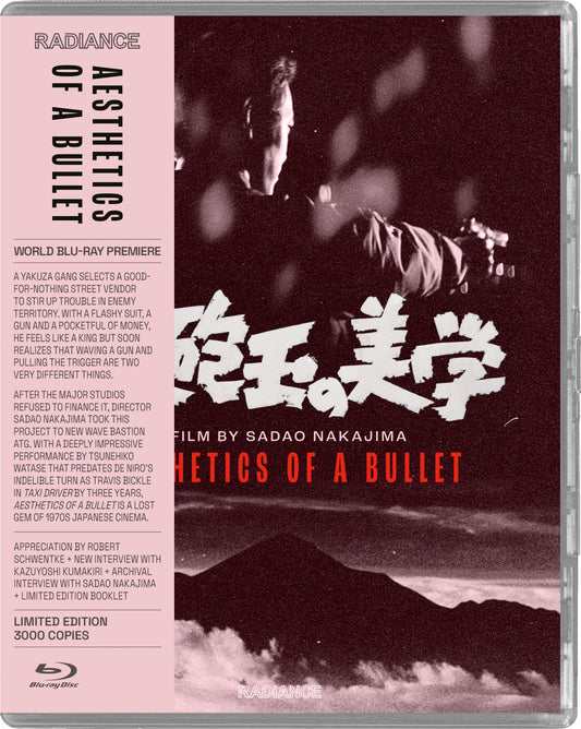 AESTHETICS OF A BULLET (1973)