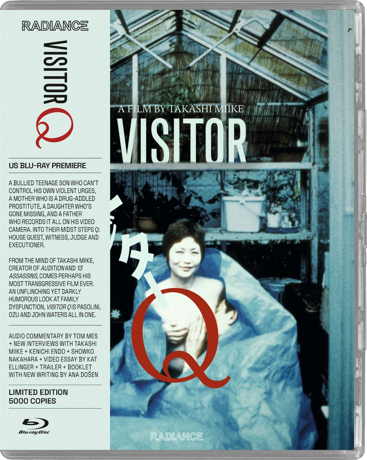 VISITOR Q (RADIANCE)